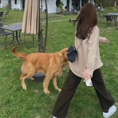 恋爱研究所