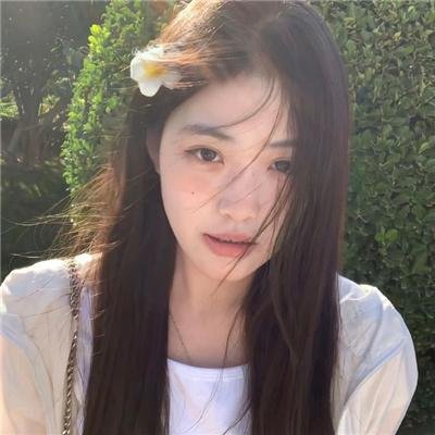 兰闺飞凤
