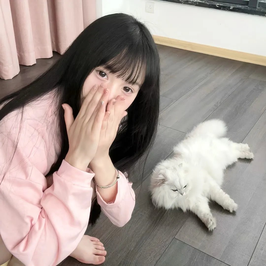 101朵玫瑰